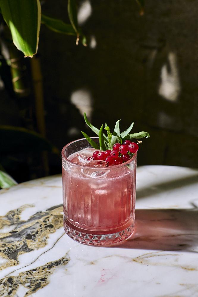 Negroni