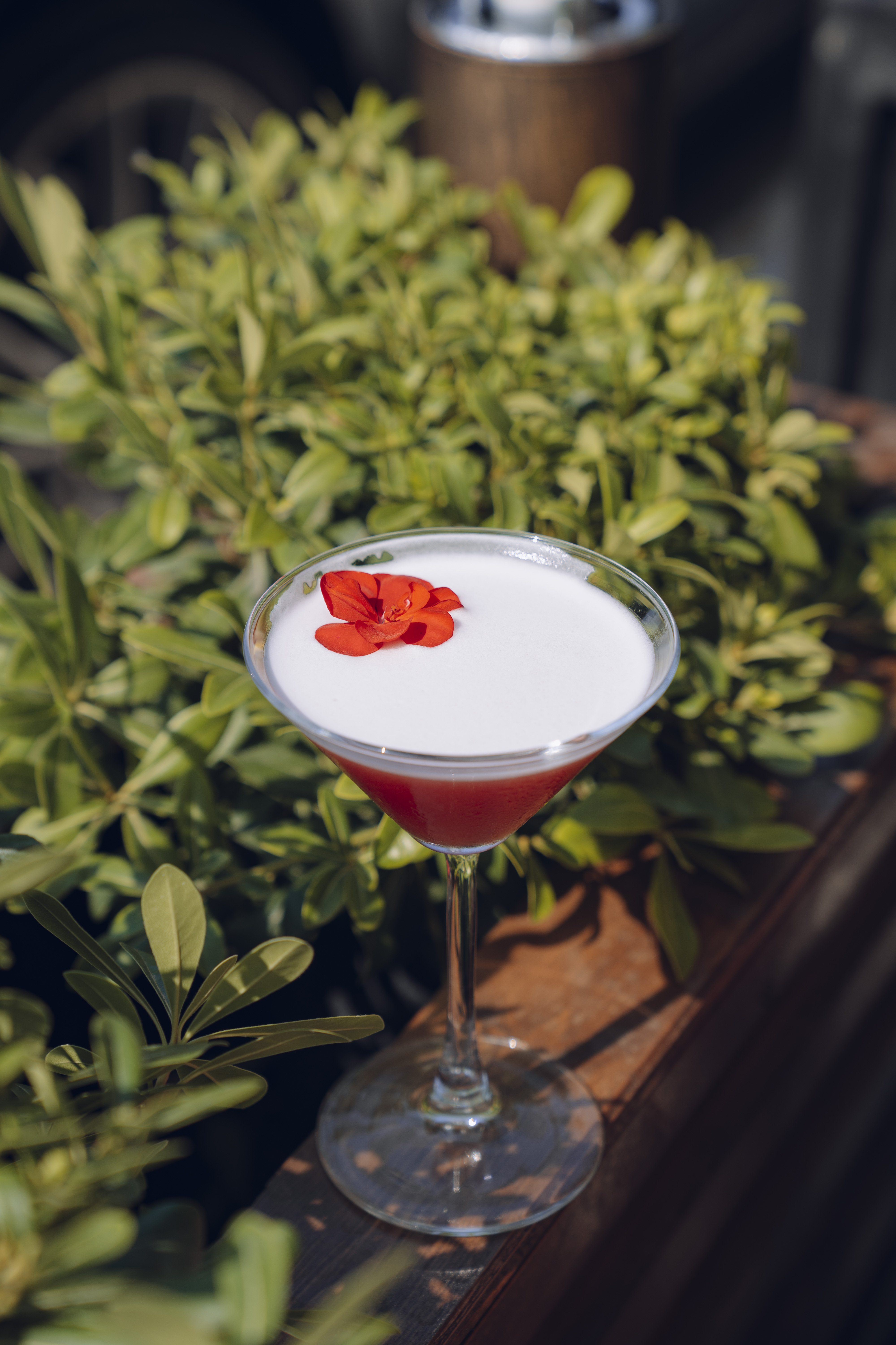 Clover Club