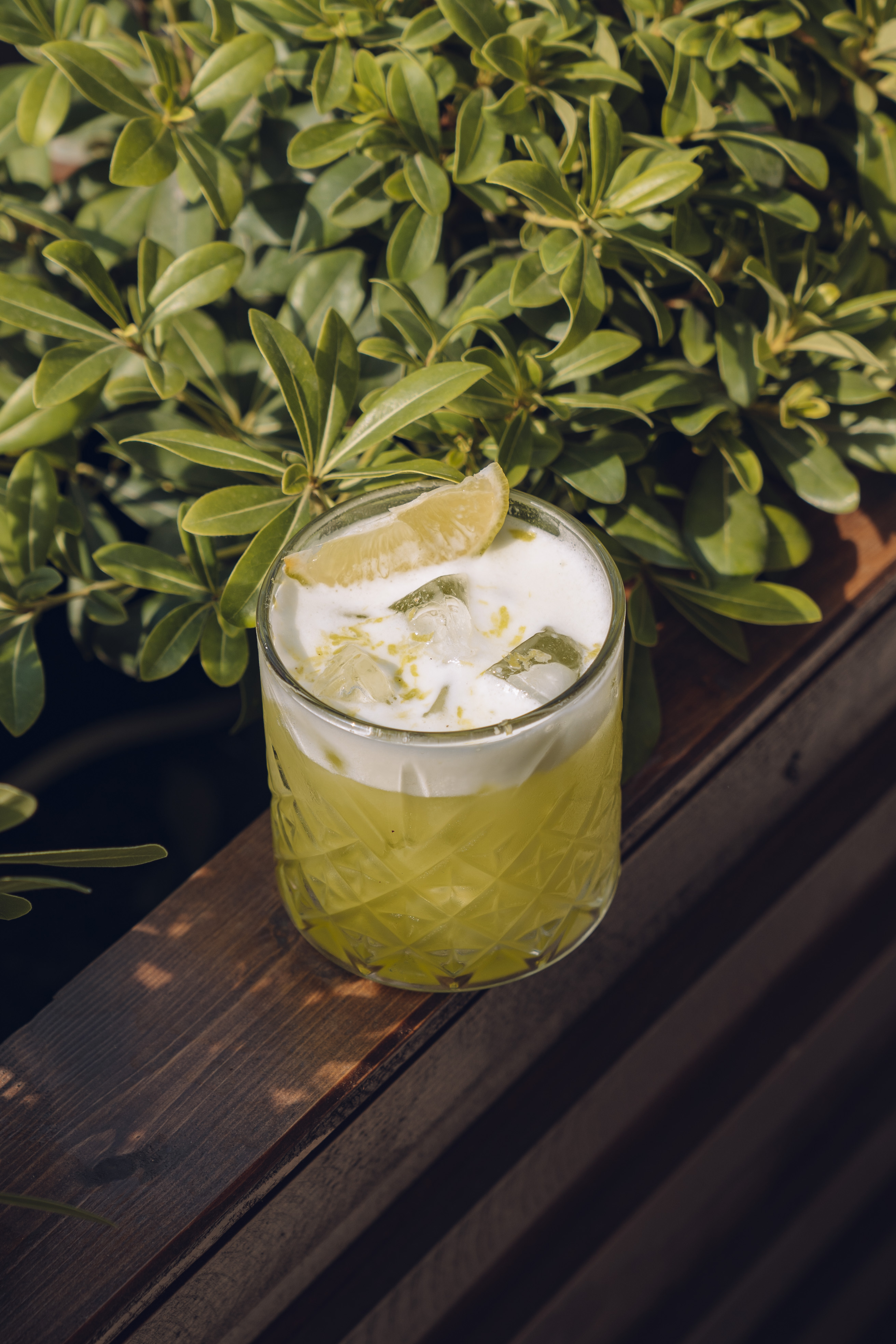 Green Paradise