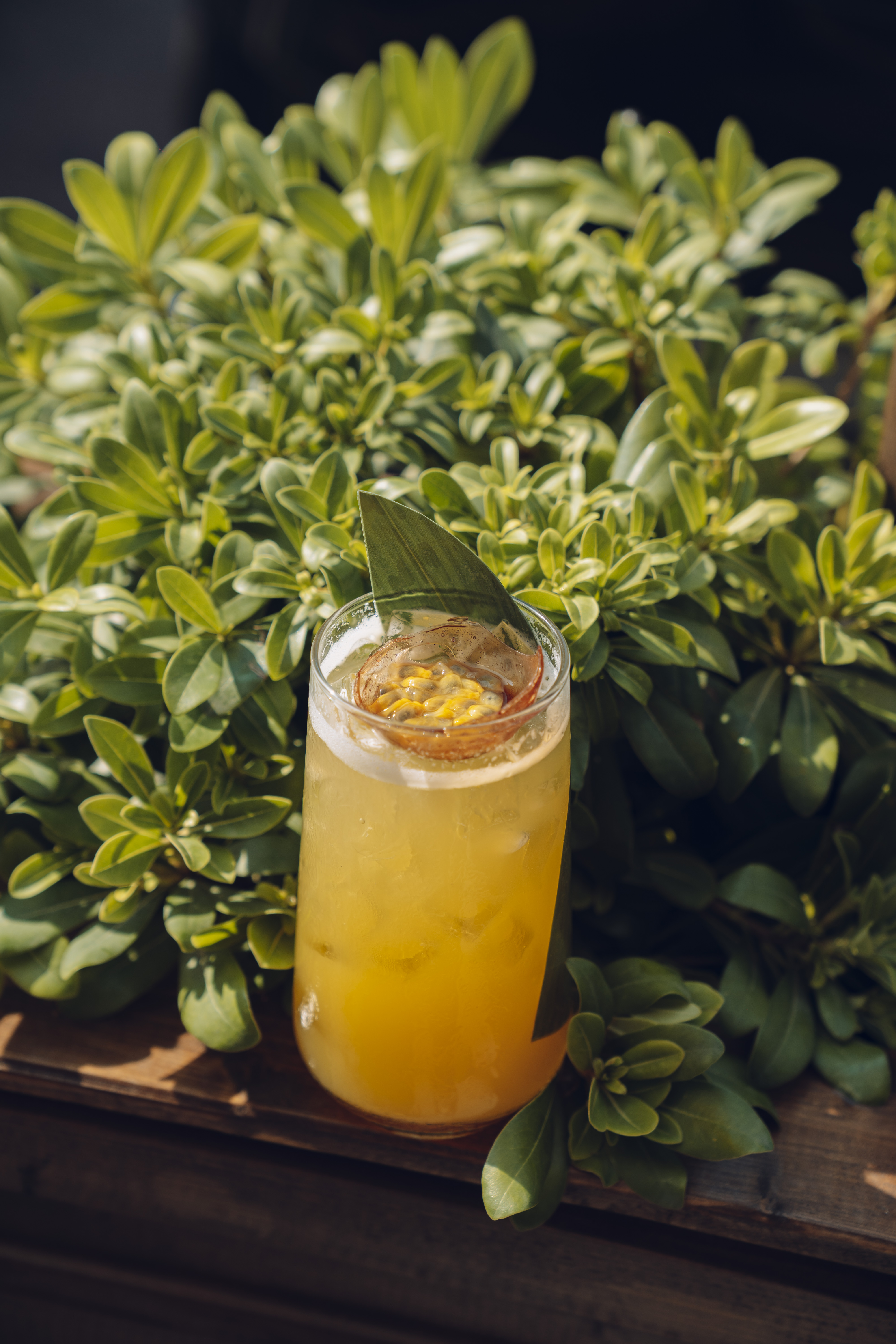 Golden Fizz